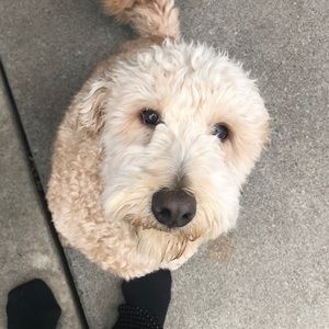 Meet your Posher, Robert